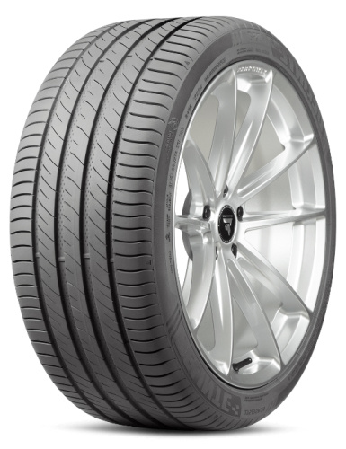 Delinte DS-2 SUV 245/65 R17