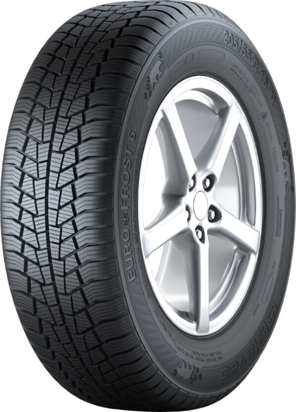Gislaved Euro*Frost 6 225/65 R17